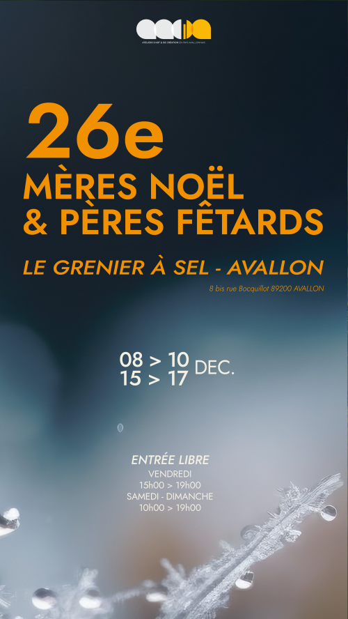 AVALLON 89  -- 26ème MERES NOEL ET PERES FETARDS  8 AU 10 DECEMBRE